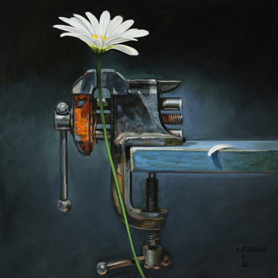 Pressed Daisy by Brian McClear