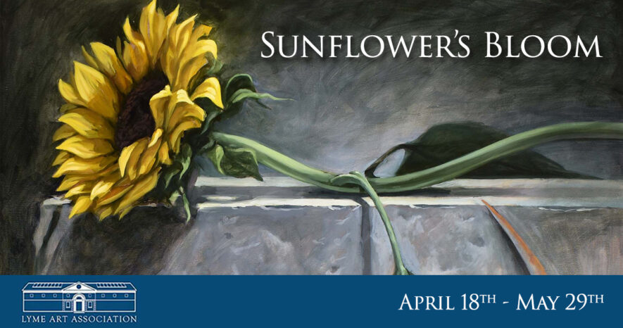 Brian McClear | Lyme Art Association's Sunflower's Bloom